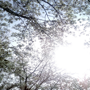 91美女遭列强狂喷白浆
